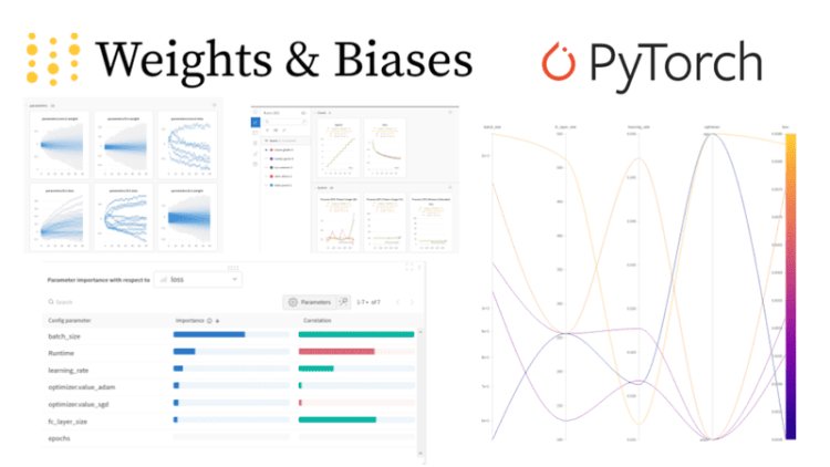 A complete Weights and Biases tutorial