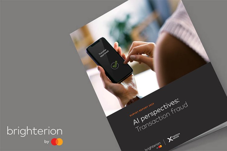 Industry perspectives on AI and transaction fraud detection