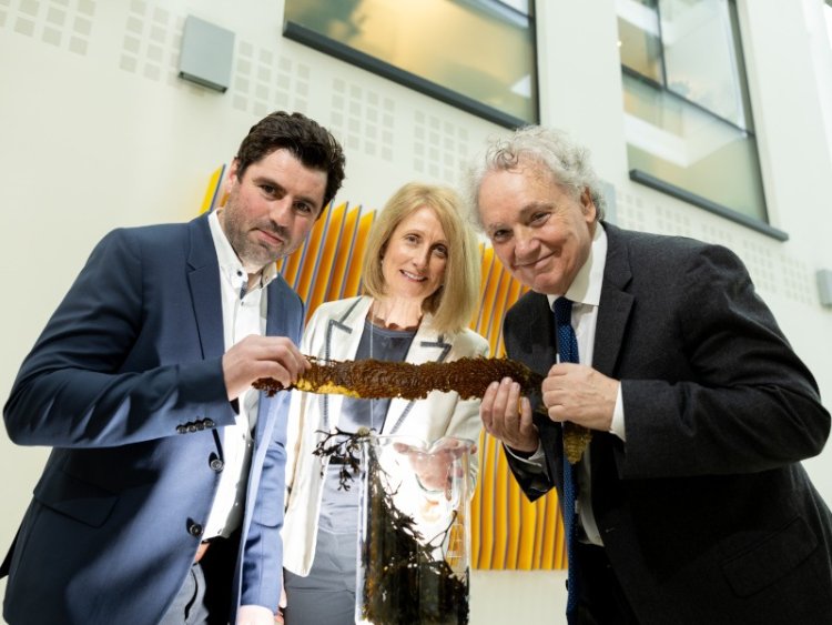 UCD wins €1.4m SFI award to tackle micronutrient deficiency