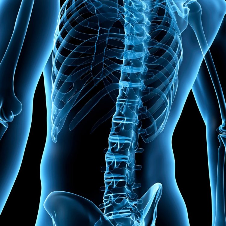 Understanding the Market Limiters in the US Spinal Implant Market