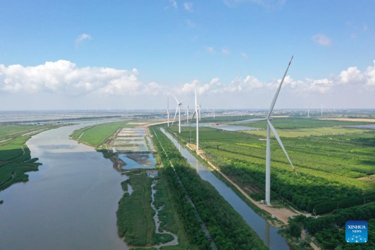 Yancheng in E China makes progress to make new energy industry become key sector