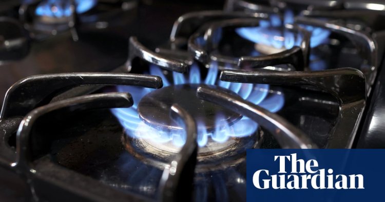 ‘It’s causing lost sleep’: British Gas sends out bills showing 1,000% price rise